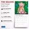 Plato; Kitten Cuddles | 2027 12 x 24 Inch (Hanging) Monthly Square Wall Calendar | Foil Stamped Cover; Category:Wall Calendars; Image:7
